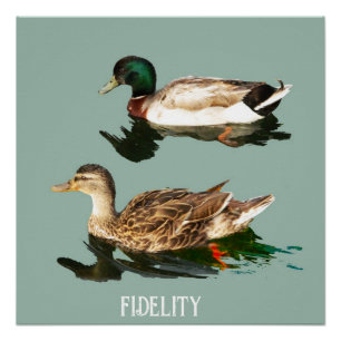 Pôster Patos-de-patos-de-pata, glacés comestíveis