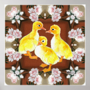Poster Patos e Rosas