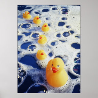 Poster Patos em uma Fila