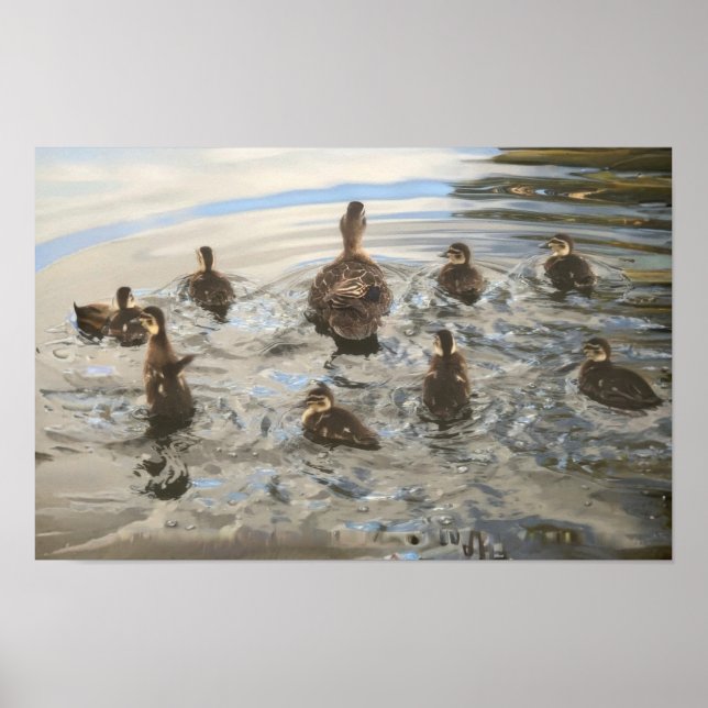 Poster Patos Nadando (Frente)