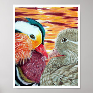 Pôster Patos no amor