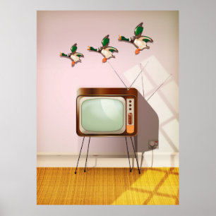 Pôster Patos Porcelaneses na Parede