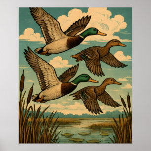 Poster Patos-reais em Voo Arte de Vida Selvagem