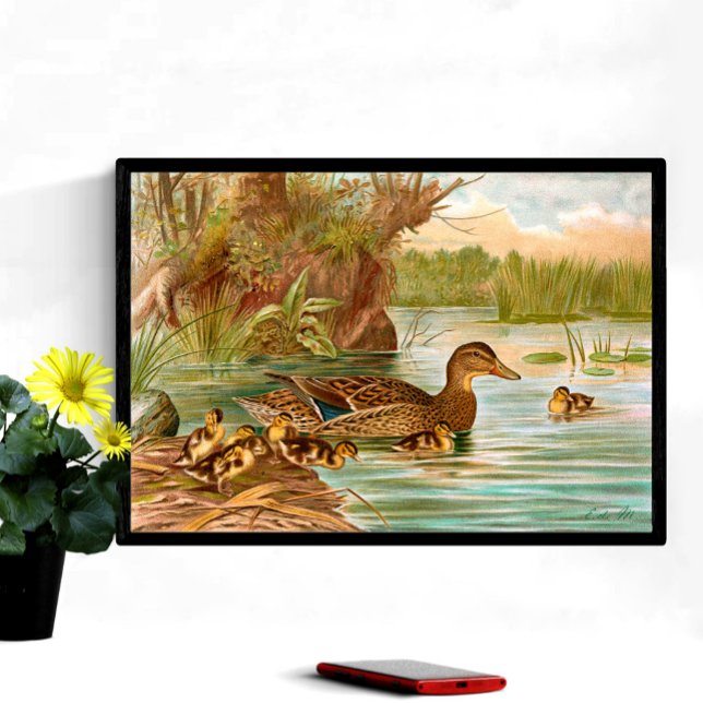 Poster Patos Vintage No Pond 2 (Criador carregado)
