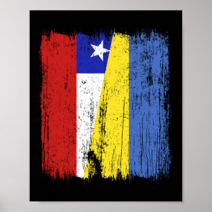 Poster Patrimônio Chileno Ucraniano Meia Bandeira Chile U