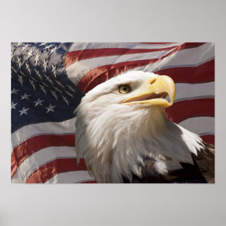Pôster Patriotic Eagle Canvas Print