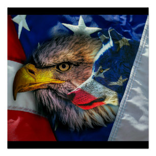 Pôster Patriótica Americana Flag Bald Eagle Wolf
