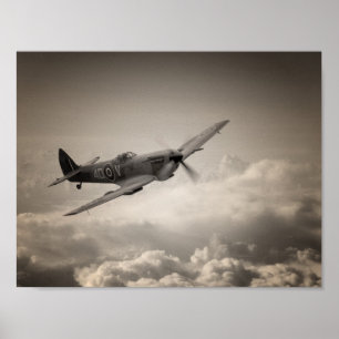 Pôster Patrulha Spitfire