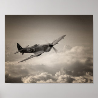 Pôster Patrulha Spitfire