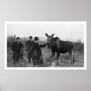 Poster Patting a Moose Photo 1921