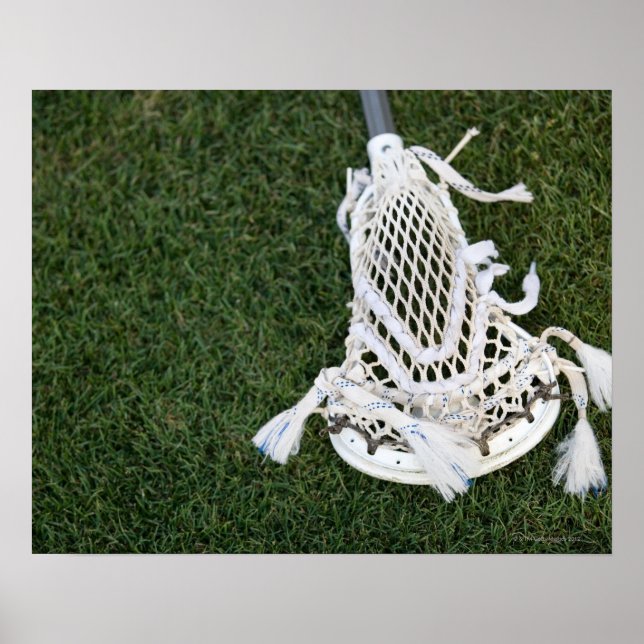 Poster Pau de lacrosse na grama (Frente)