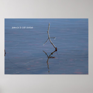 Poster Pau na água