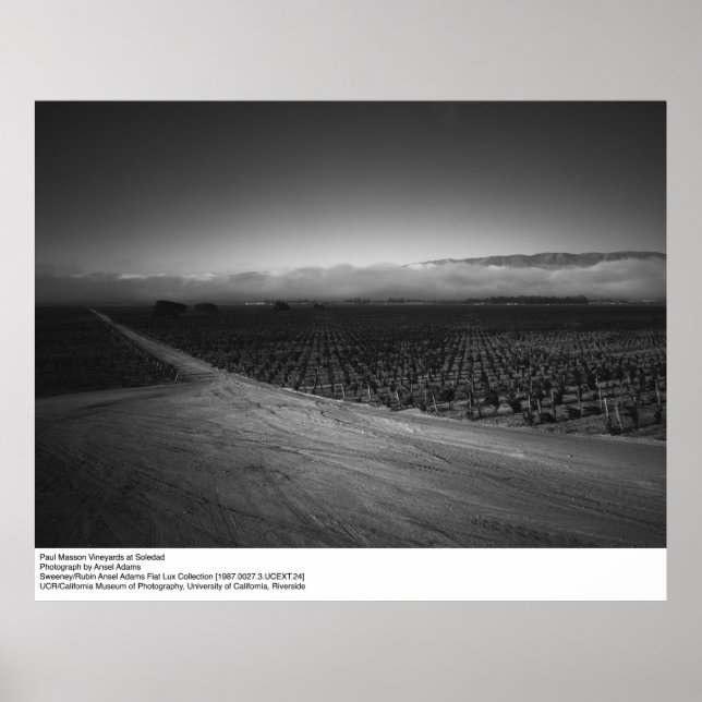 Poster Paul Masson Vineyard em Soledad por Ansel Adams (Frente)