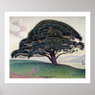 Pôster Paul Signac