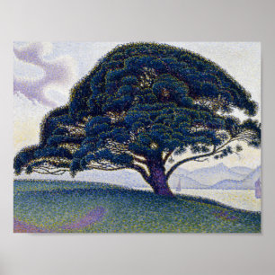 Pôster Paul Signac - o pinho de Bonaventure
