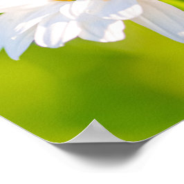 Poster Pausa de ouro