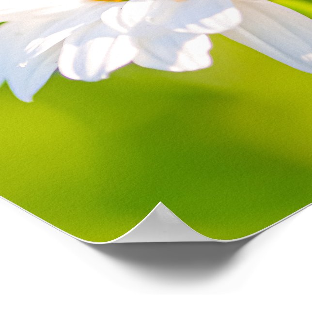 Poster Pausa de ouro (Borda)