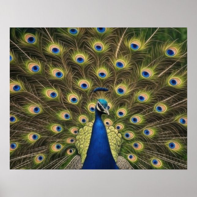 Poster Pavão Azul (Frente)