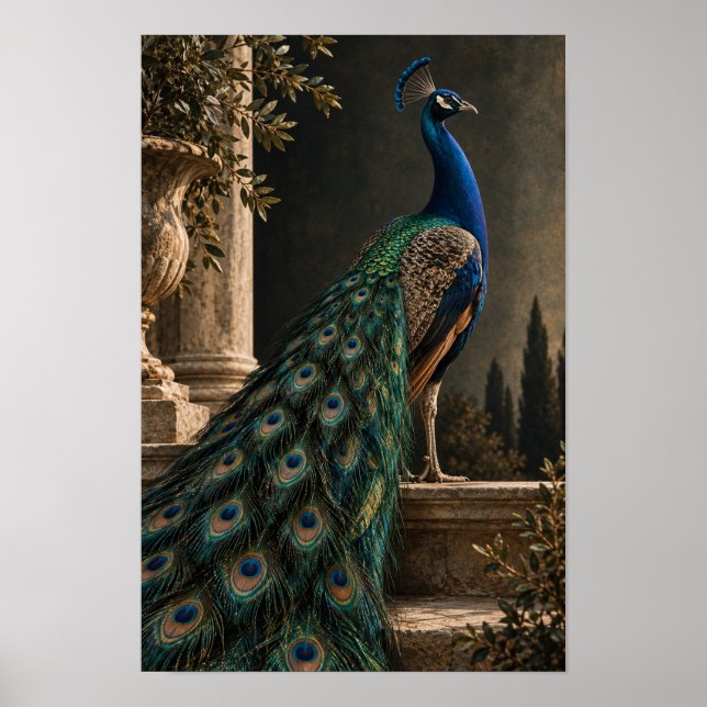 Poster Pavão Azul com Cauda Iridescente em Gar clássico (Frente)