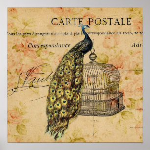 Poster pavão botânico francês do vintage do nouveau da