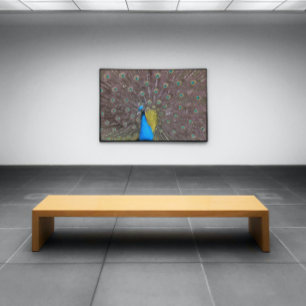 Poster Pavão Elegante A Azul Com Cauda Em Banho