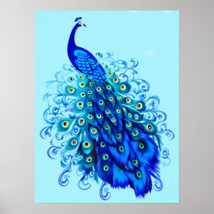 Poster Pavão em Turquesa e Azul Cobalto