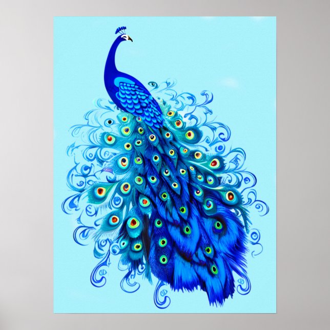 Poster Pavão em Turquesa e Azul Cobalto (Frente)