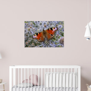 Poster Pavão Europeu ou Borboleta de Pavão