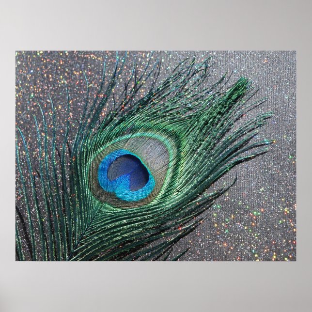 Pôster Pavão Negro Esparvo Pavão Vida Estática (Frente)