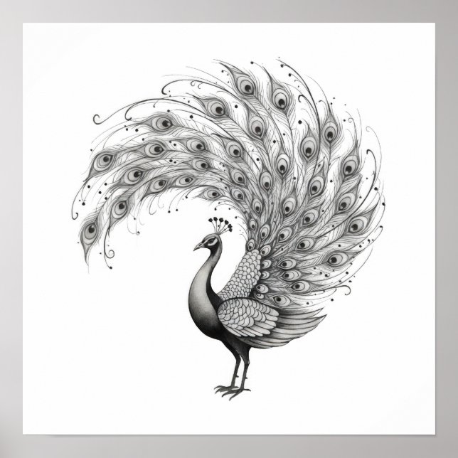 Poster Pavão Preto e Branco (Frente)