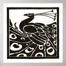 PAVÃO PRETO E BRANCO