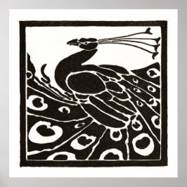 POSTER PAVÃO PRETO E BRANCO