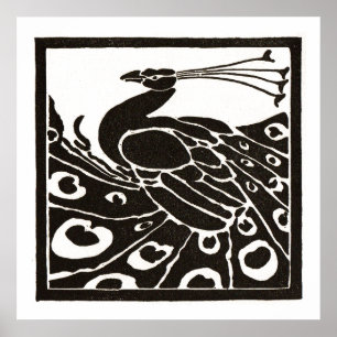 POSTER PAVÃO PRETO E BRANCO