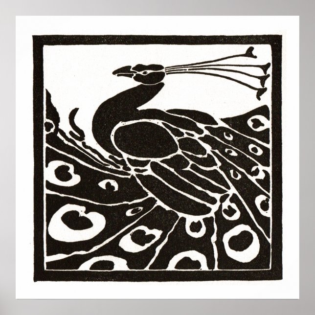 POSTER PAVÃO PRETO E BRANCO (Frente)