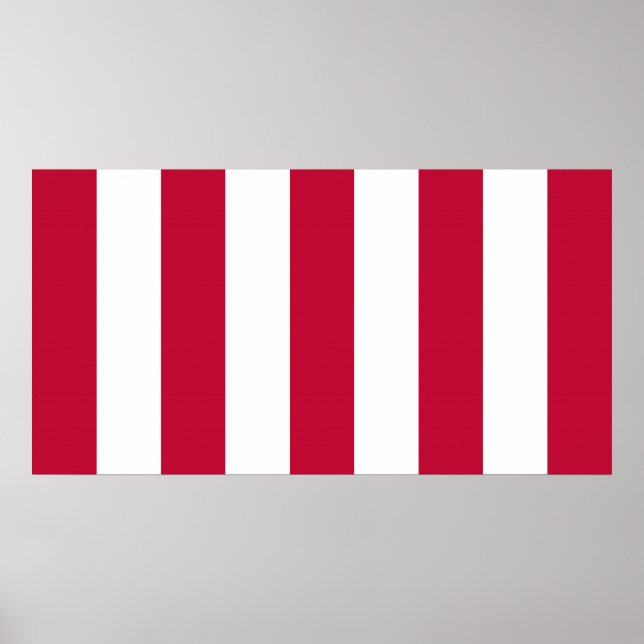 Pôster Pavilhão dos Filhos da Liberdade 9 Vertical dos EU (Frente)