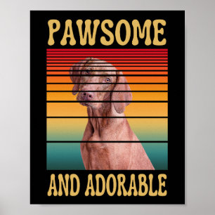 POSTER PAWSOME E ADORÁVEL 
