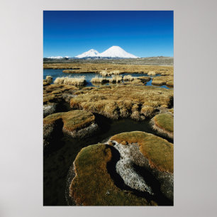 Pôster Payachalas Volcanos