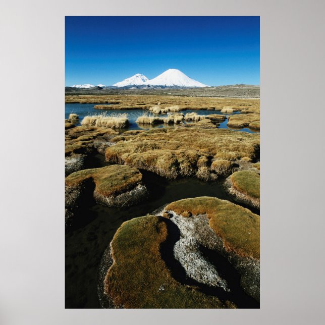 Pôster Payachalas Volcanos (Frente)
