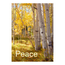 Paz