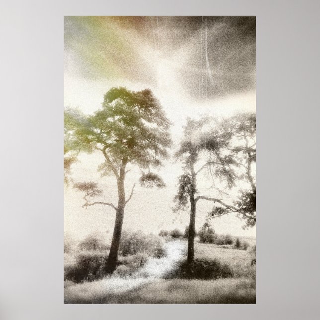 Poster Paz antes da Tempestade (Frente)