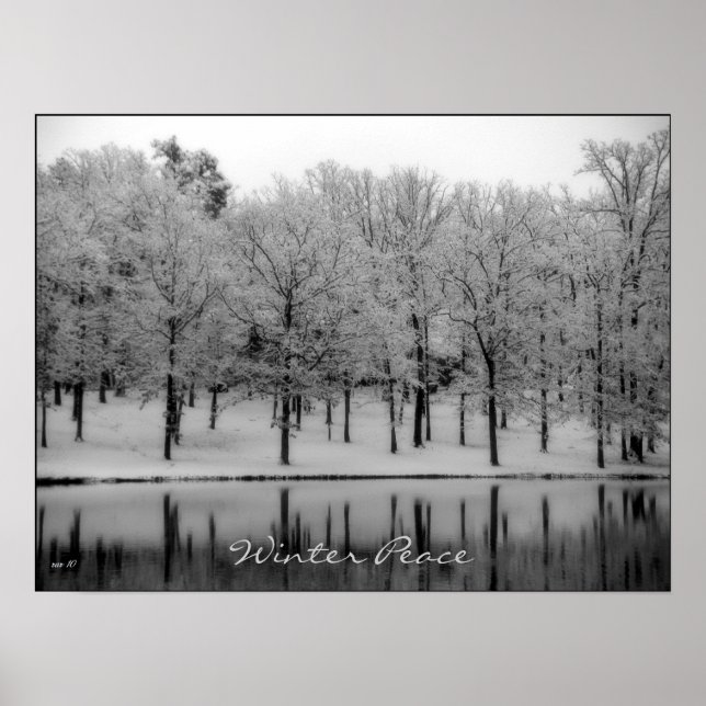 Poster Paz de inverno (Frente)