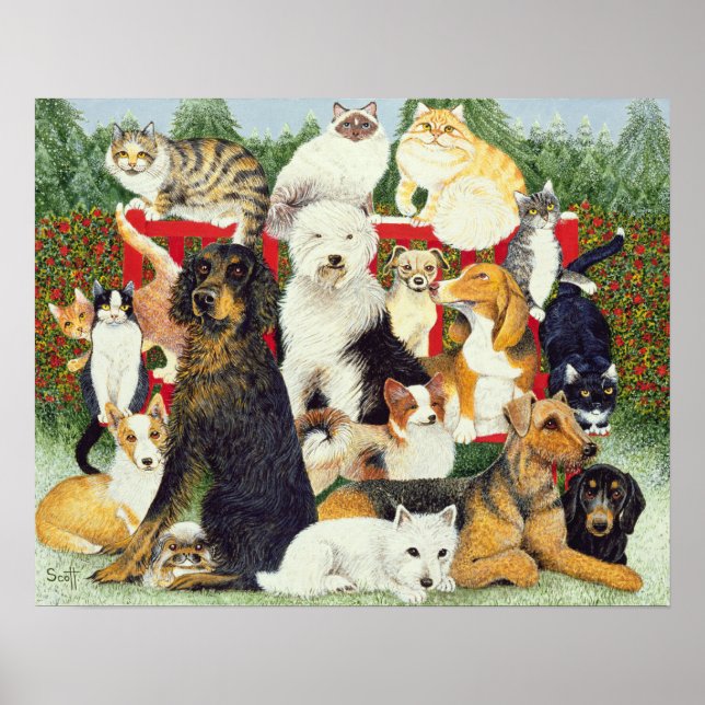 Pôster Paz de Natal (Frente)