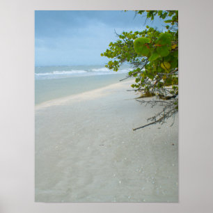 Pôster Paz E Silêncio Na Ilha Sanibel