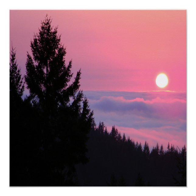 Pôster Paz finalmente (Frente)