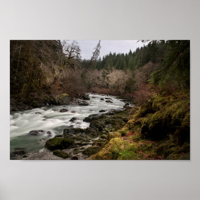 Poster Paz no rio (Frente)