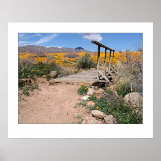 Pôster Pé Bridge & Poppies
