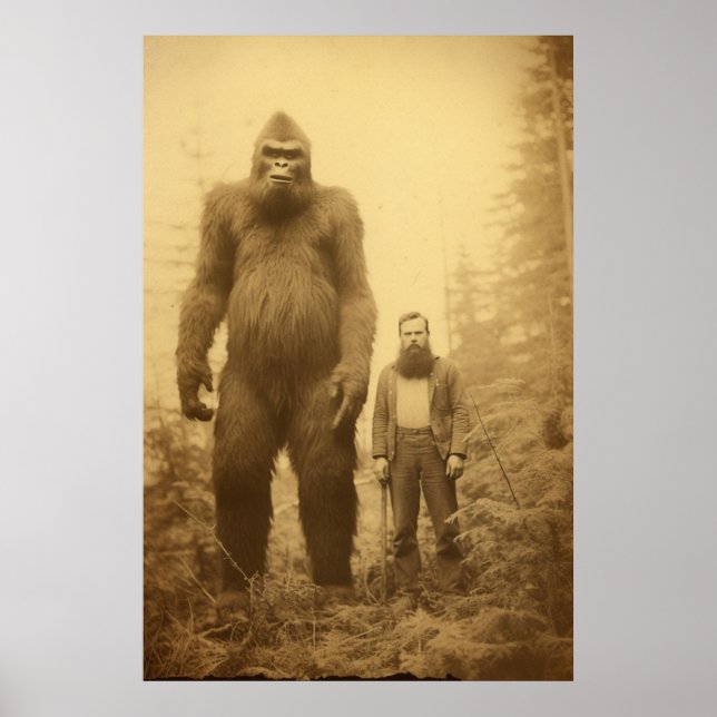 Poster Pé Grande, Sasquatch, Poster, Cryptid (Frente)