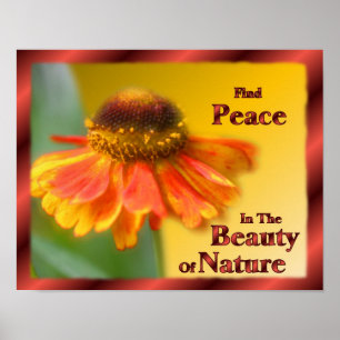 Pôster Peace In Nature Zinnia Flower Inspirational