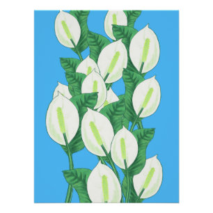 Pôster Peace Lily Illustration Poster