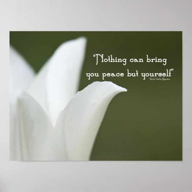 Poster Peace Tulip (Frente)